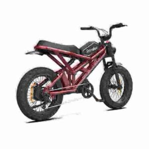 1000 watt electric bike factory