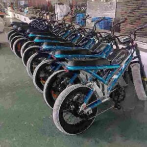 250w Electric Bike China factory