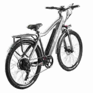 29 inch electric bike factory