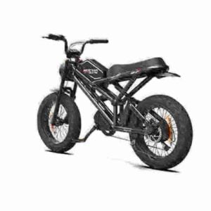 3 wheel electric bike factory