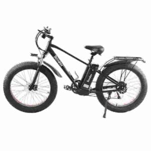 3 wheel electric bike for adults factory