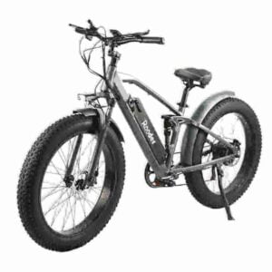 36v Mini Electric Bike factory