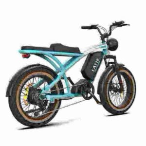 4 wheel electric bike for adults factory