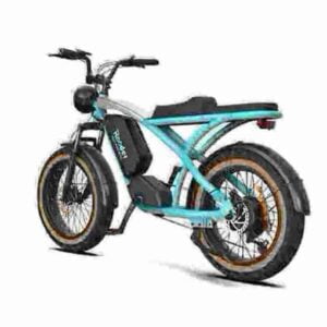 48v Fat Tire Electric Bike factory