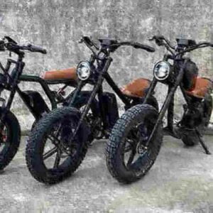 750 Watt Electric Fat Tire Bike factory