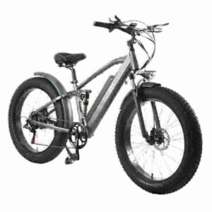 750 Watt Fat Tire Bike factory