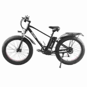 750w Fat Tire Ebike factory