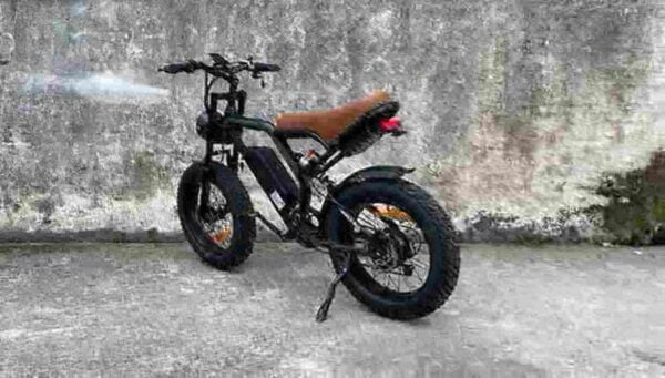 Adult Fat Tire Electric Bike factory