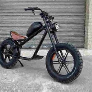 Affordable Folding Electric Bike factory