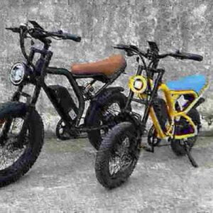 Best 20 Inch Folding Electric Bike factory