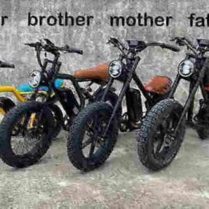 Best Big Tire Electric Bike factory