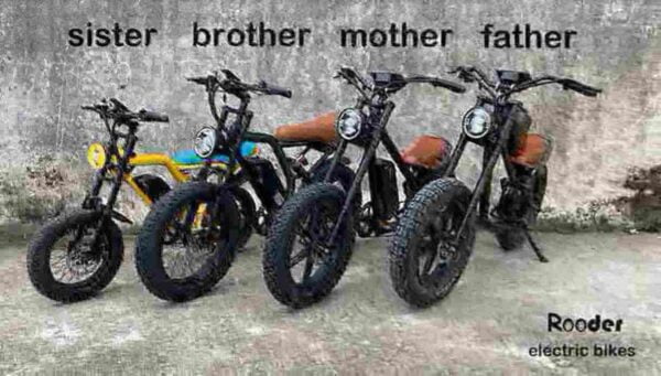 Best Big Tire Electric Bike factory