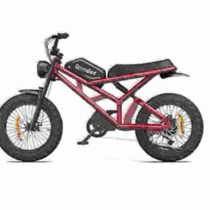 Best Chinese Folding Electric Bike factory