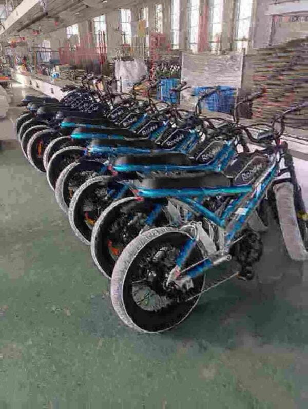 Best E Bikes For Women factory