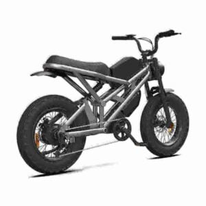 Best Electric Bike With Fat Tires factory