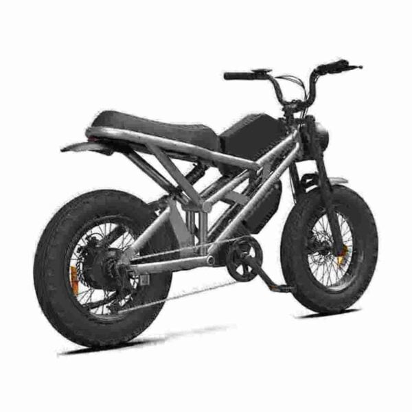 Best Electric Bike With Fat Tires factory