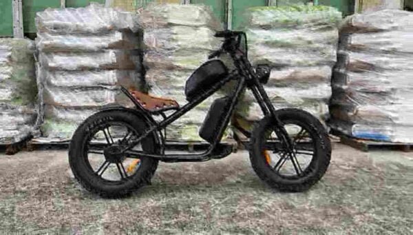 best electric dirt bike for adults factory