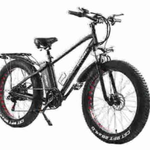 Best Electric Fat Tire Bicycle factory
