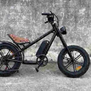 Best Fat Tyre Electric Bike factory