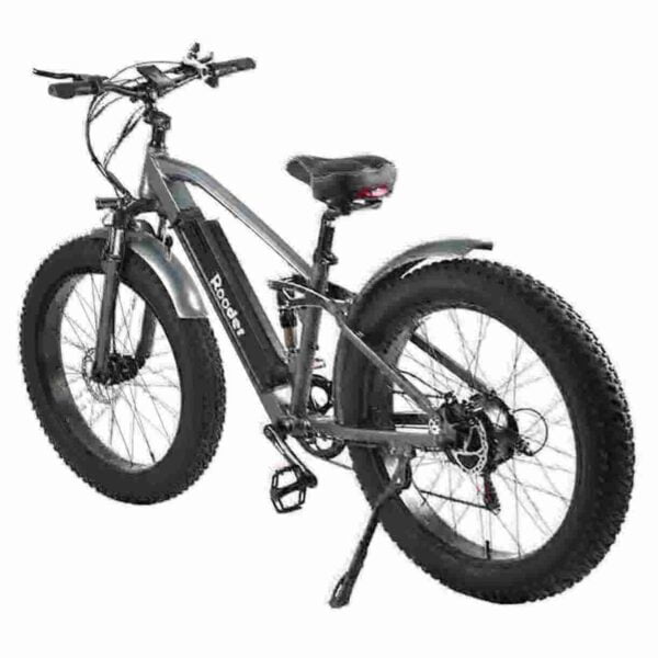 Best Folding E Bike factory