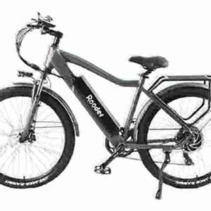 Best Folding Electric Bike For Adults factory