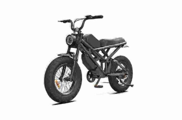 Best Long Range Folding Electric Bike factory
