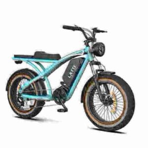 Best Value Fat Tire Electric Bike factory
