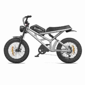 Best Value Folding Electric Bike factory