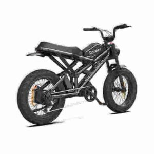 Big Tire Electric Bicycle factory