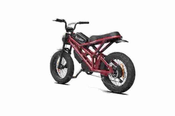 Bike Folding Electric factory