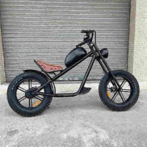 Brusshless Motor Electric Bike factory