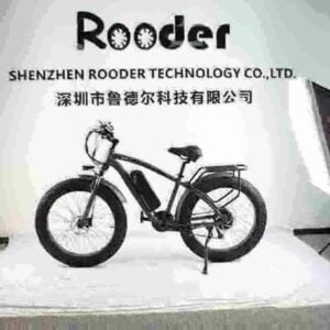 China Electric Bikes factory