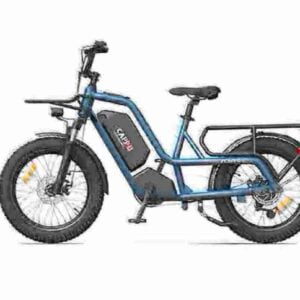 Chinese Folding Electric Bike factory