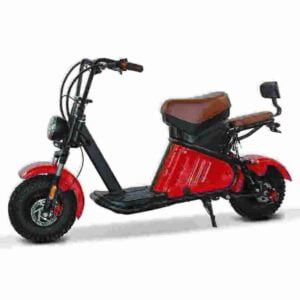 City Coco Scooter For Sale factory