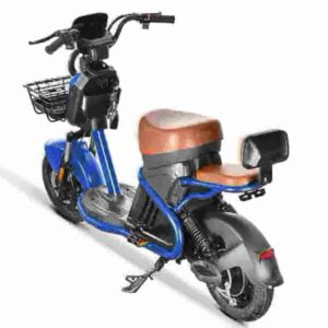 Citycoco Chopper 3000w factory