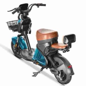 Citycoco Trike 3000w factory