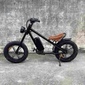 Connect Folding Electric Bike factory