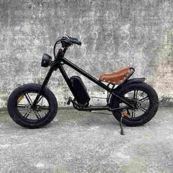 Connect Folding Electric Bike factory