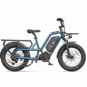 custom ebikes factory