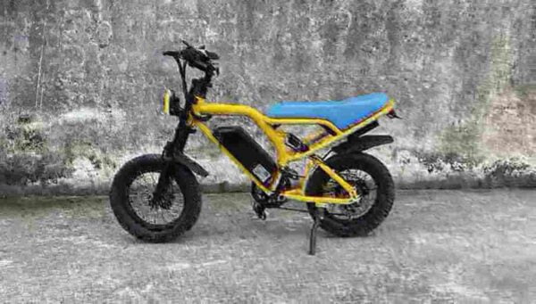 Custom Electric Bike factory