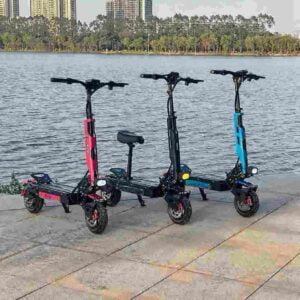 Dual Motor Scoote factory