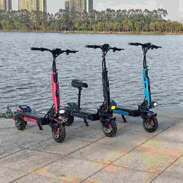 Dual Motor Scoote factory