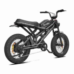 Dual Suspension Ebike factory