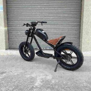 E Bike Folding Bike factory