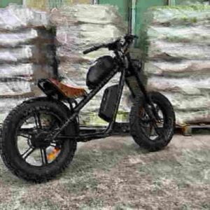 ebike 750w factory