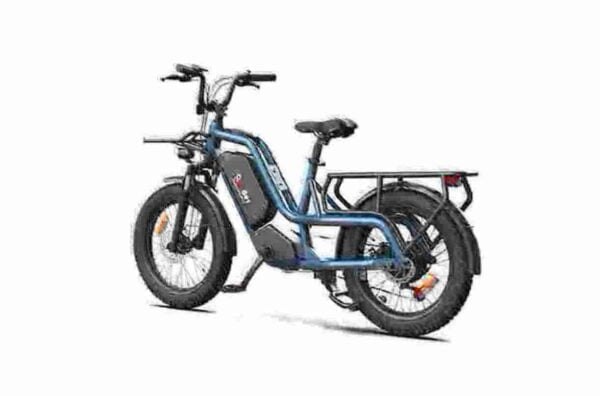Ebike Fat Bike factory