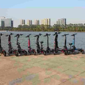 Eec Electric Scooter factory