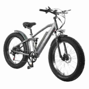 Electr Bike Adult factory