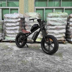 Electr Bike Eu factory