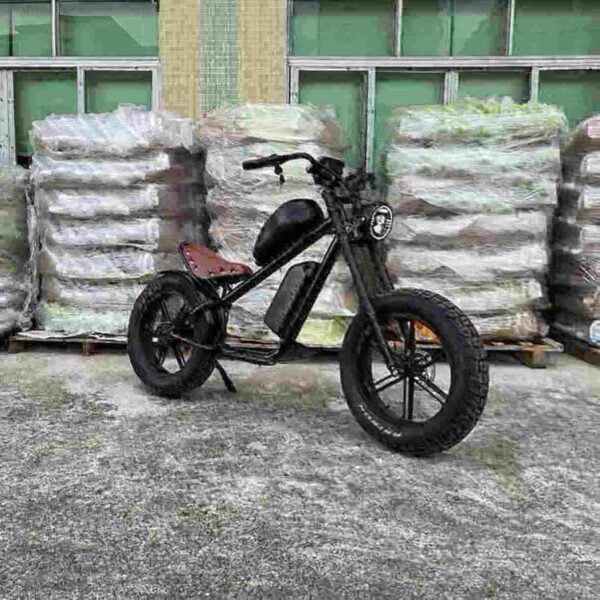 Electr Bike Eu factory